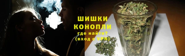 spice Богданович